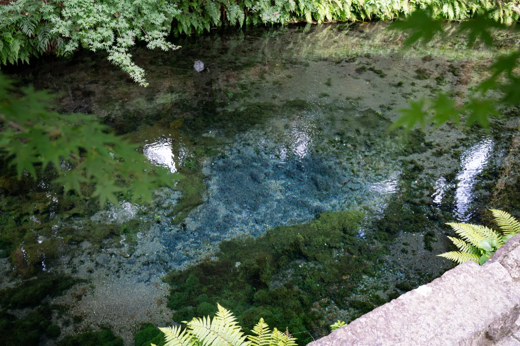 火山岩層が磨いた蒼い湧水